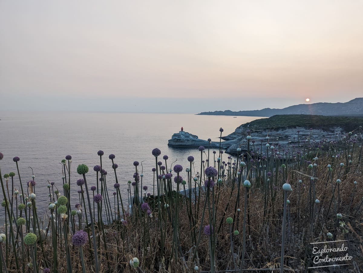 Panorama falesie di Bonifacio tour corsica vespa