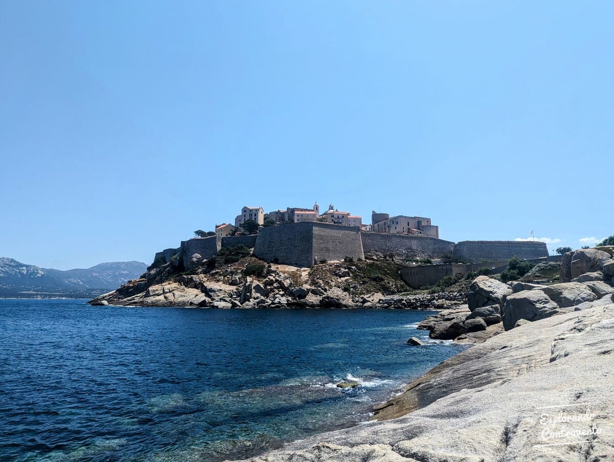 Scogliera cittadella di Calvi Corsica