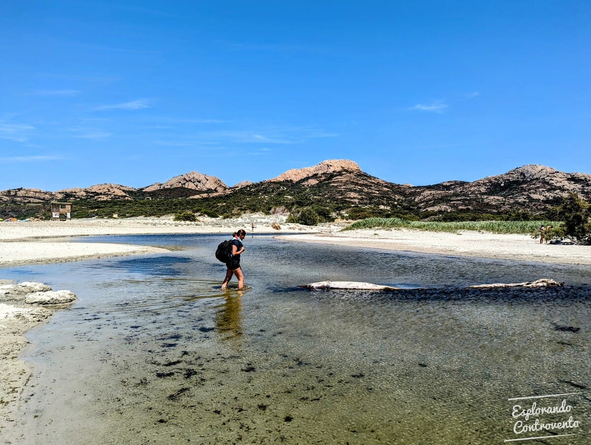 Spiaggia degli ostriconi corsica sentiero