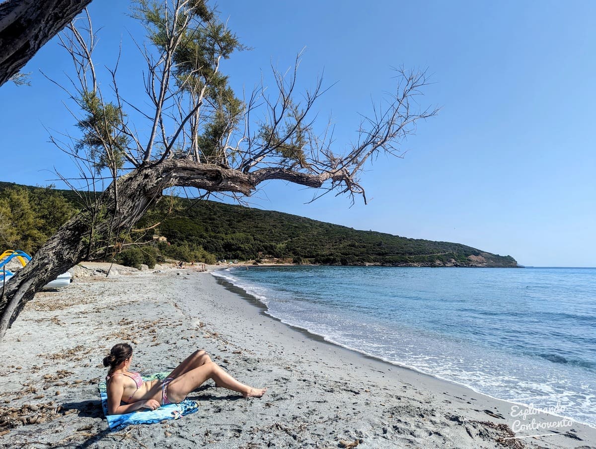 Vista della bella spiaggia di Misincu Capo Corso tour corsica vespa