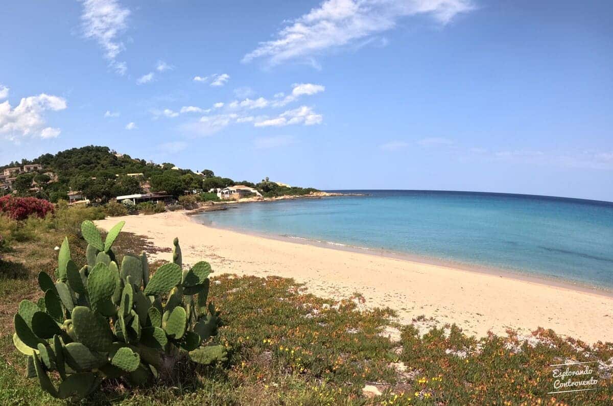 spiaggia di Tarco Corsica Spiagge belle